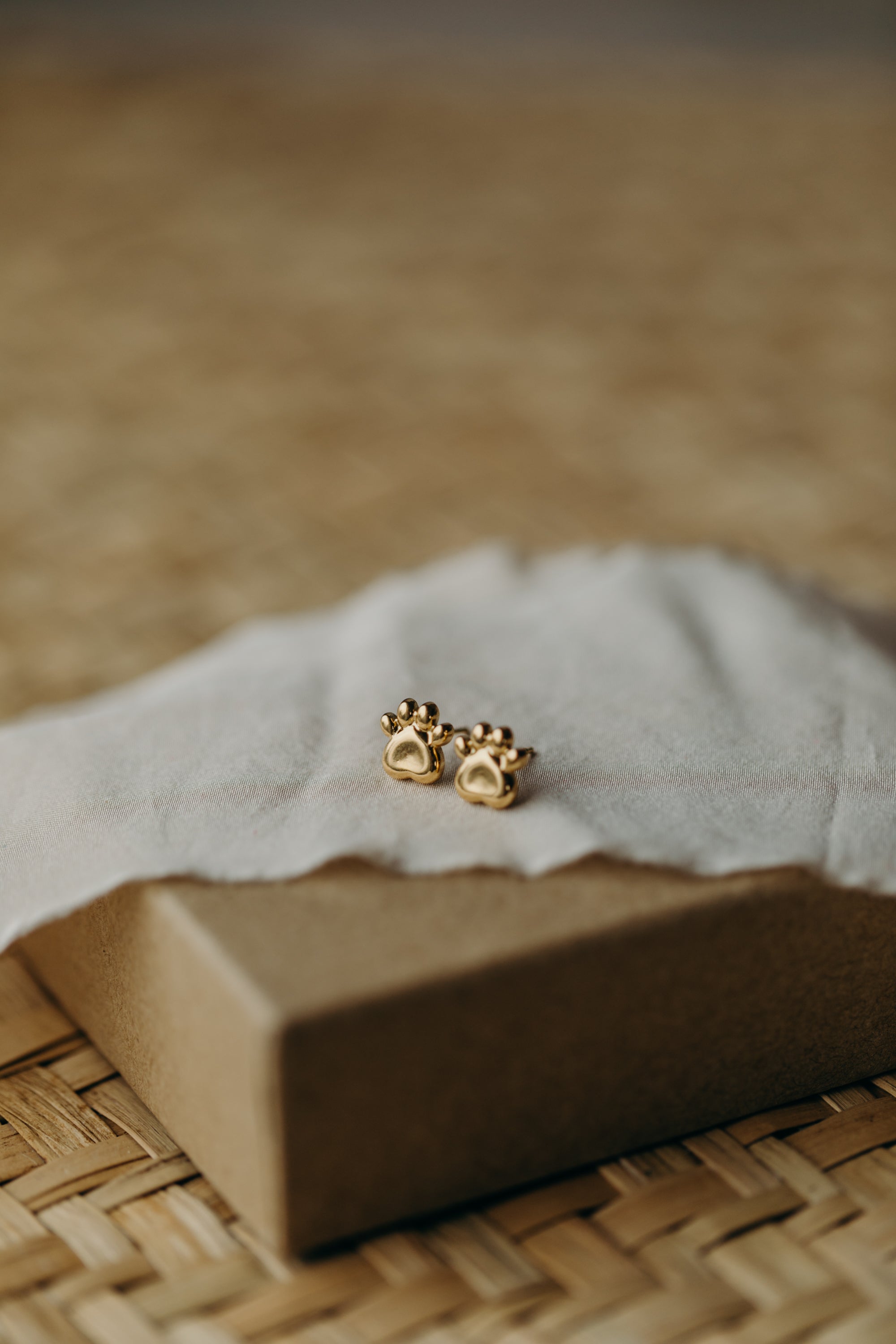 Ohrstecker Tierpfote