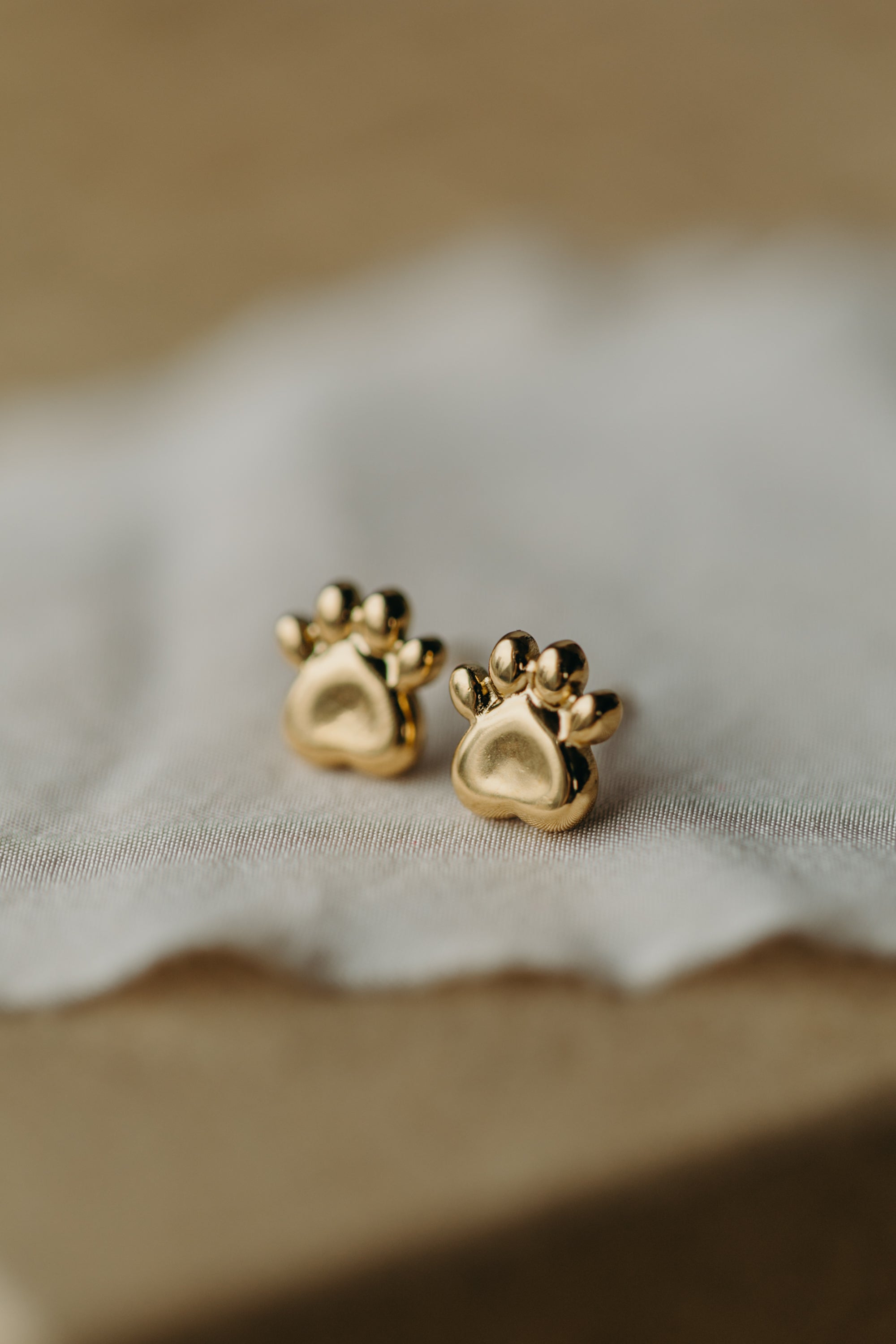 Ohrstecker Tierpfote