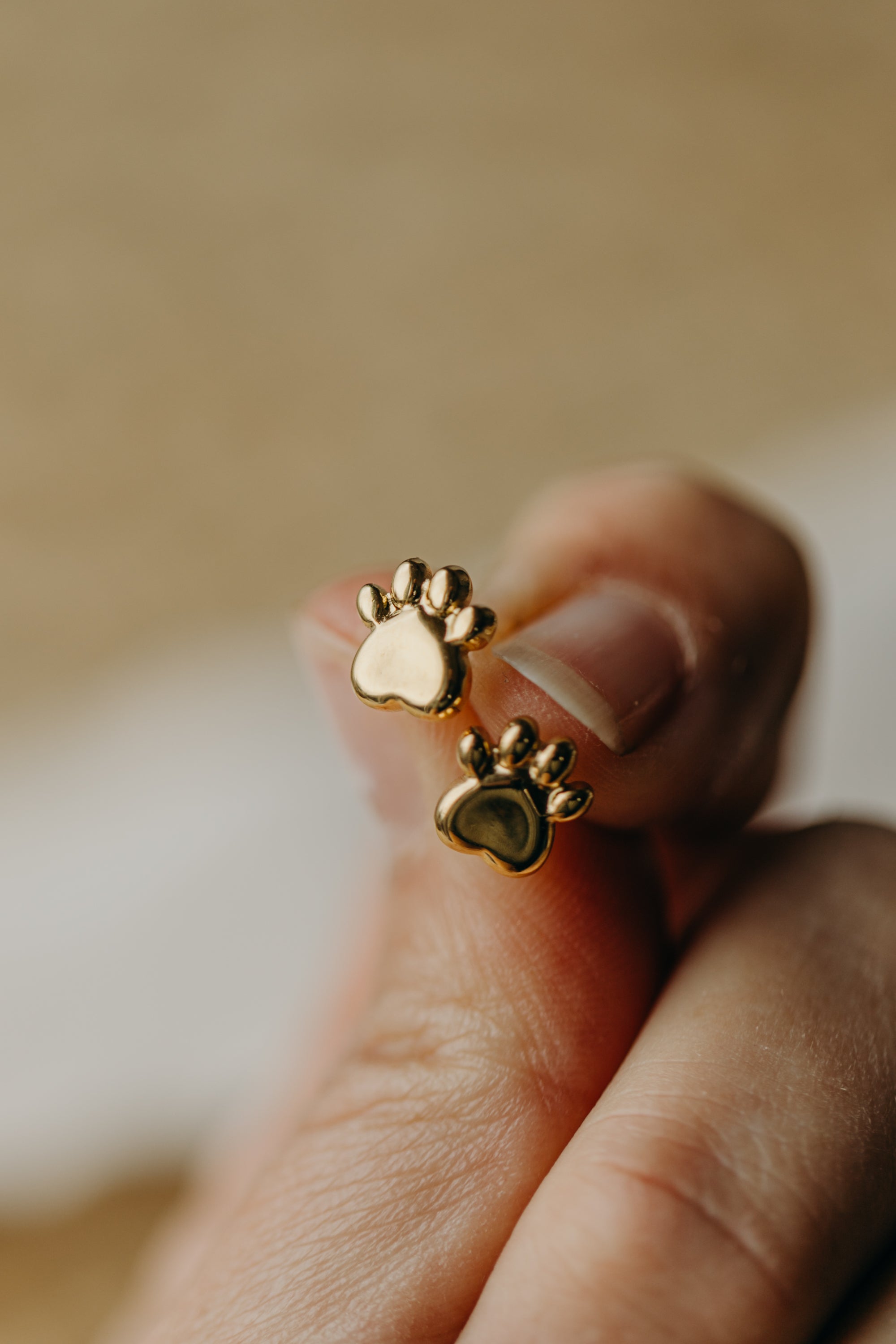Ohrstecker Tierpfote