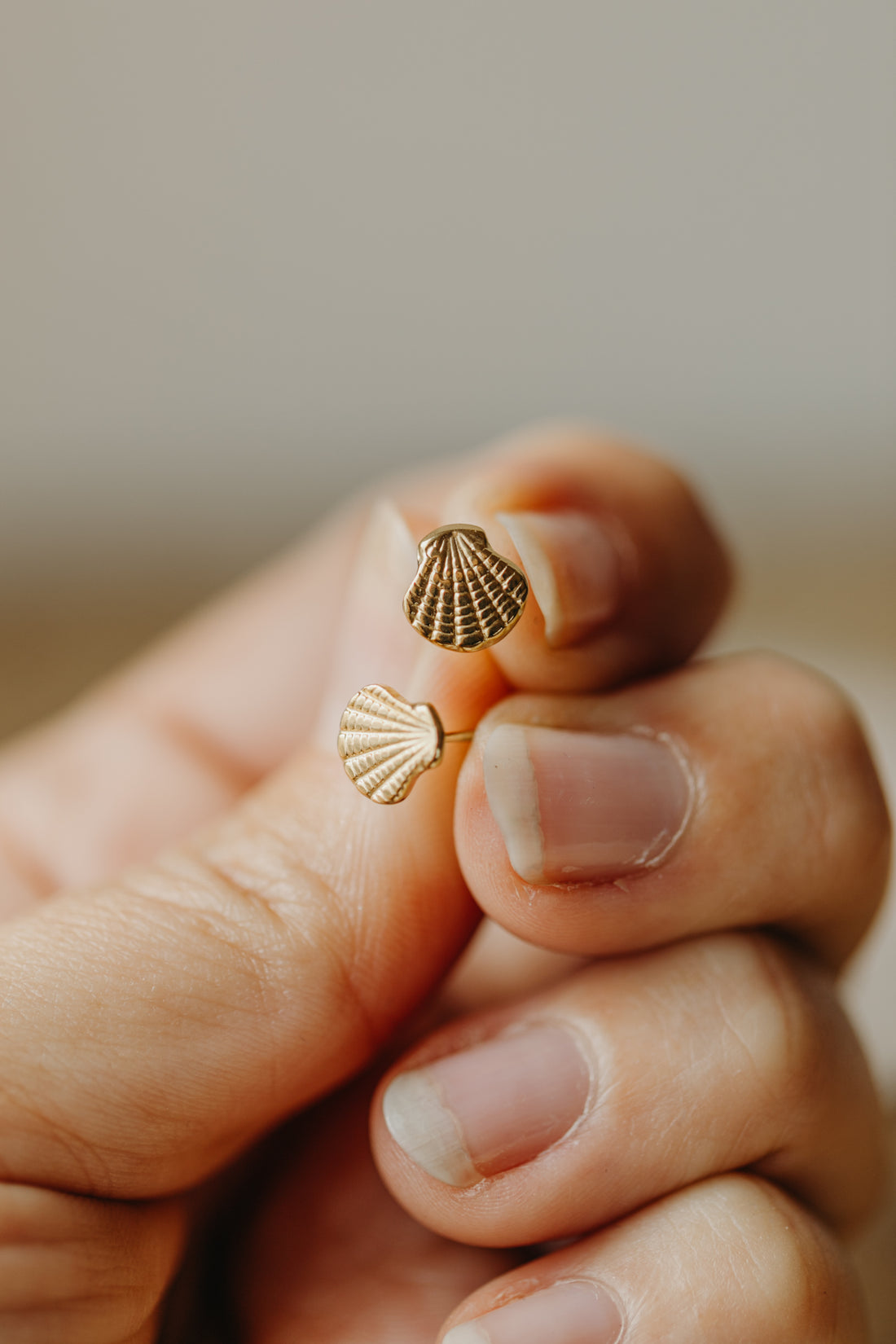 Shell earrings