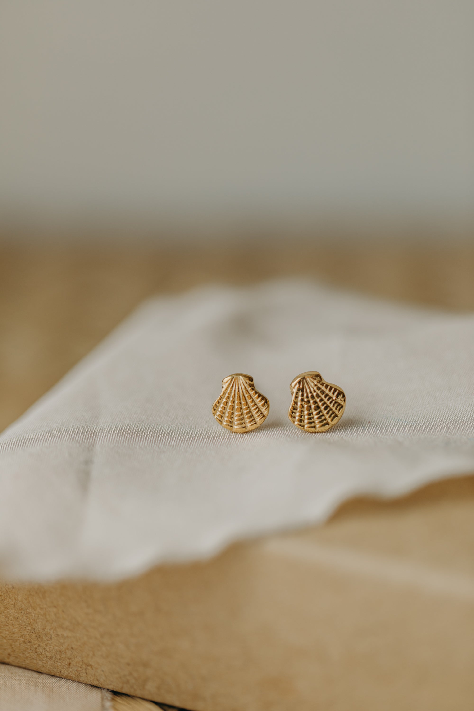 Shell earrings