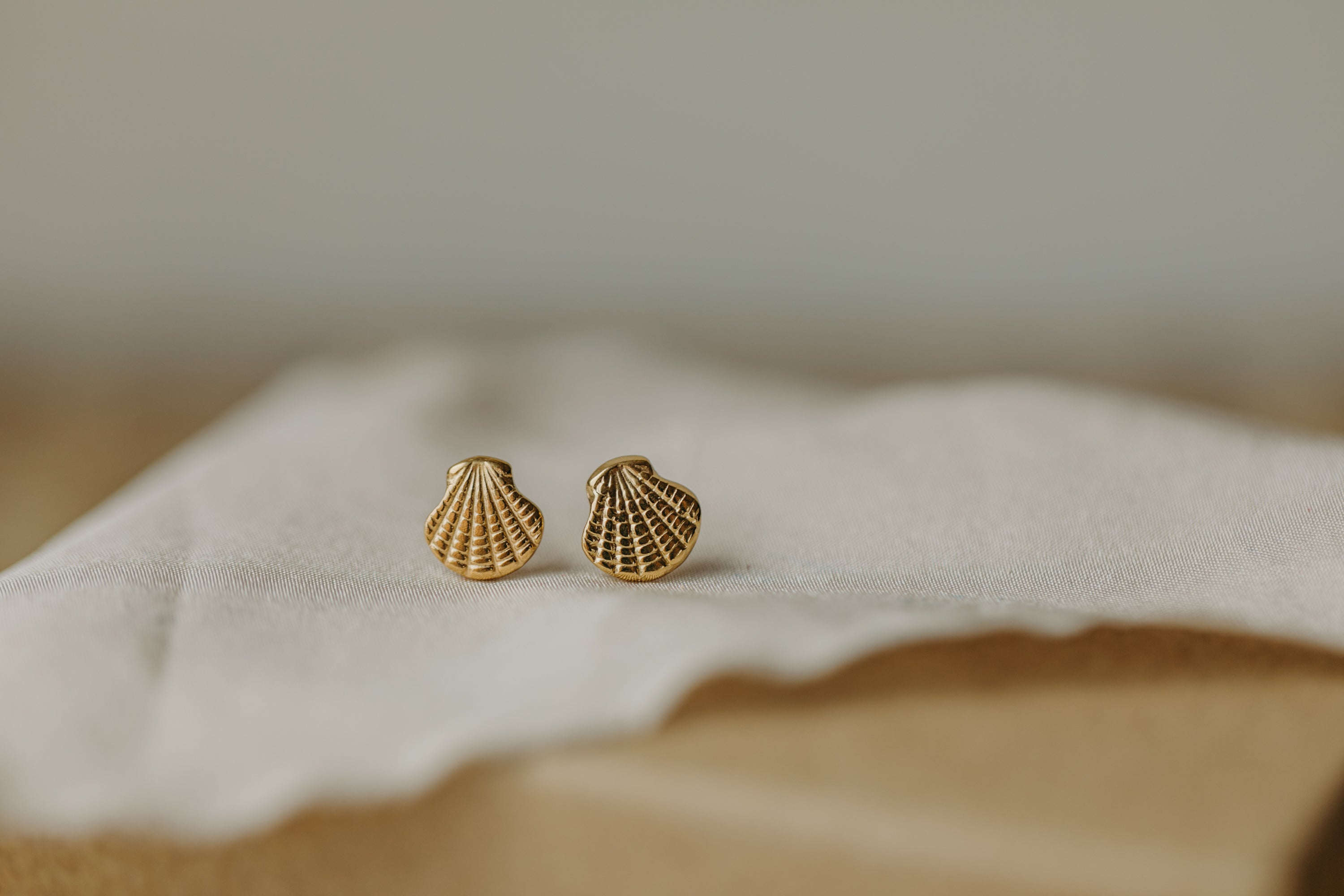 Shell earrings