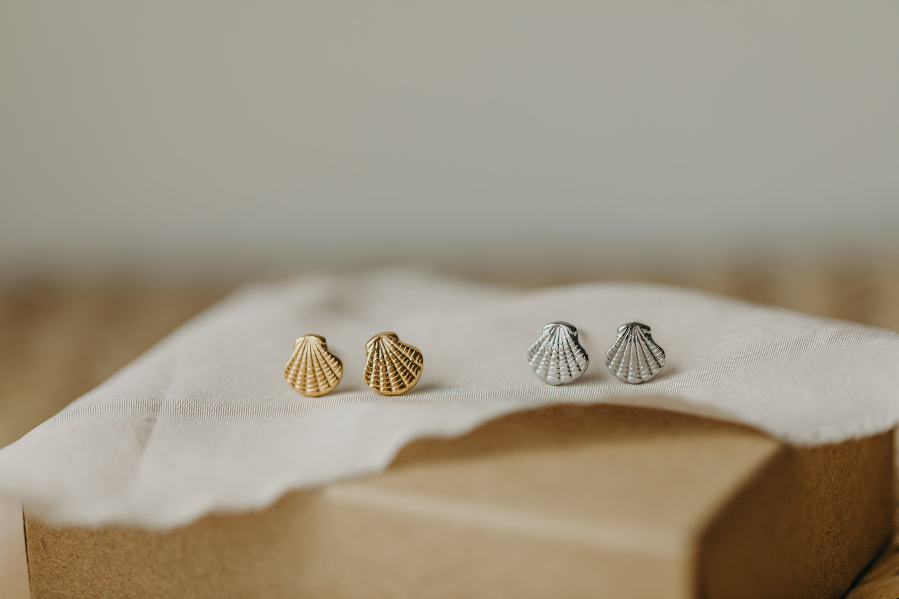 Shell earrings