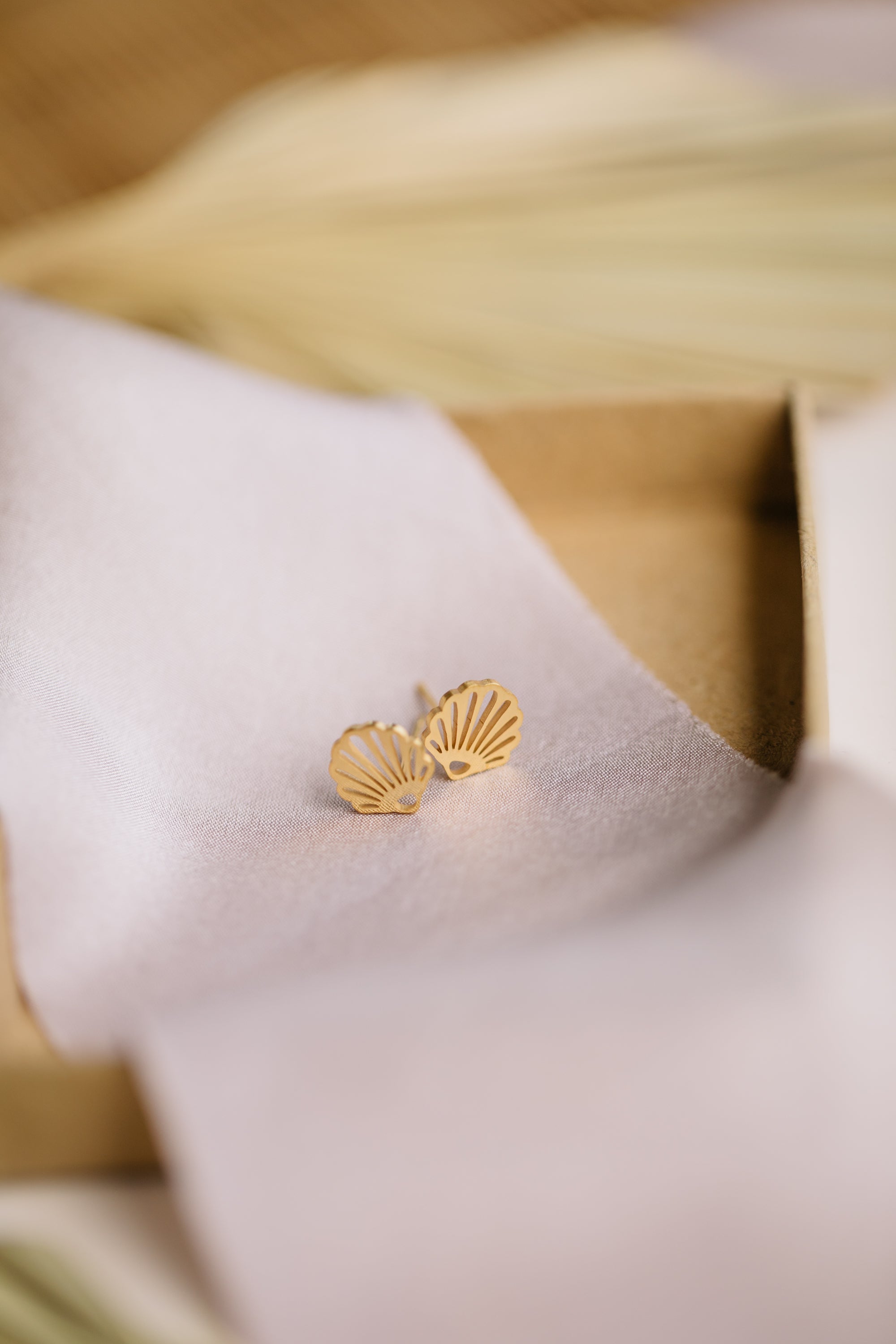 Ohrstecker kleine Muschel