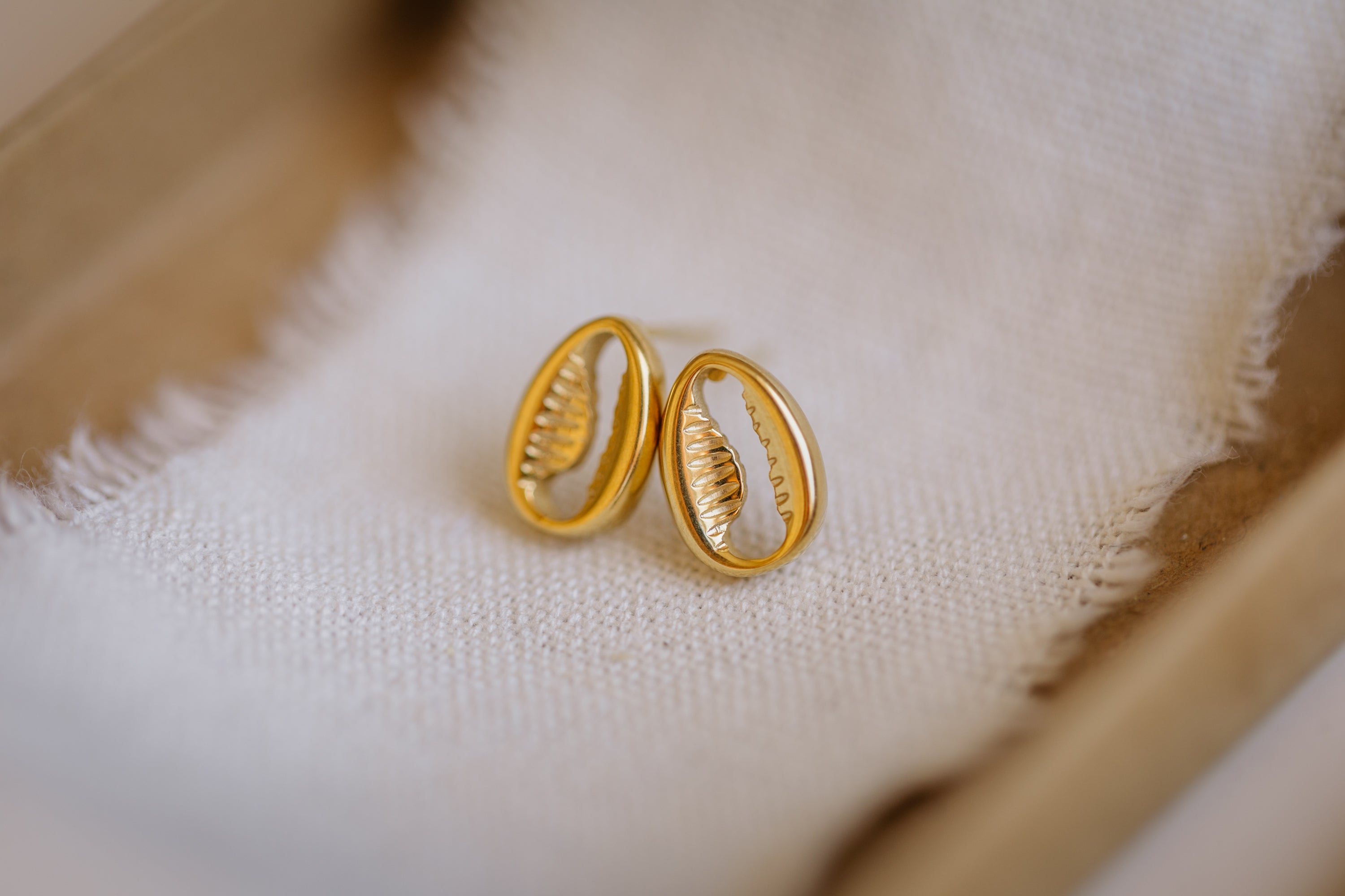 small shell earrings