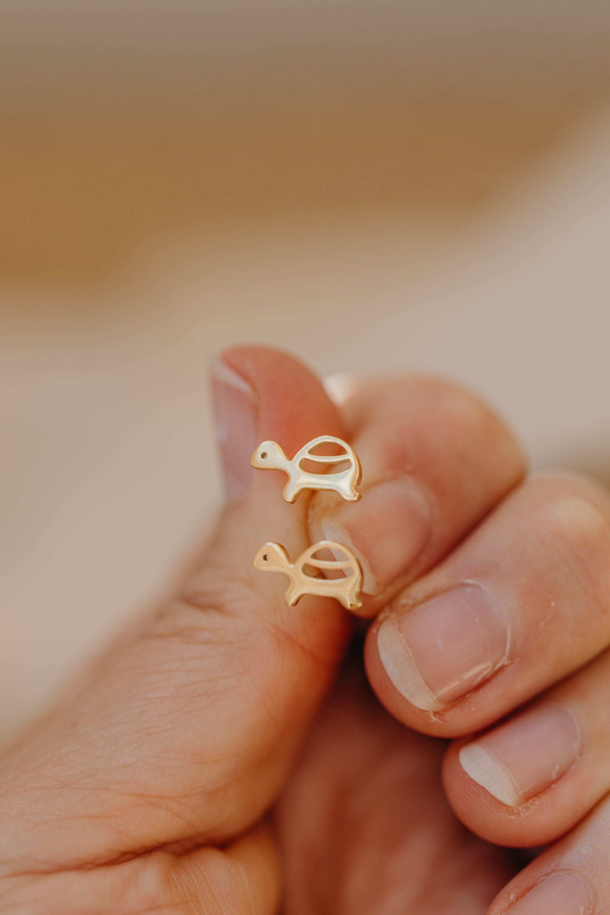 Ohrstecker Schildkröte