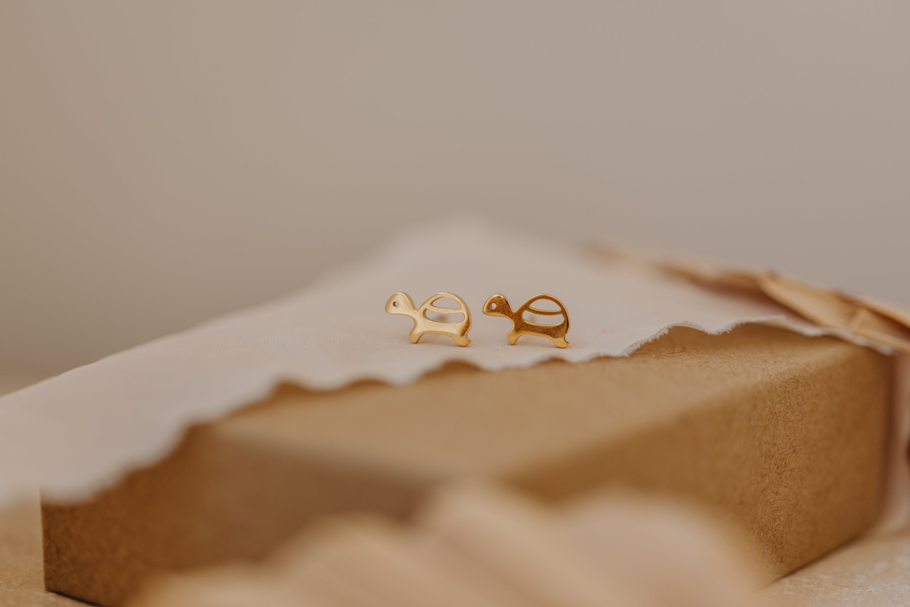 Ohrstecker Schildkröte