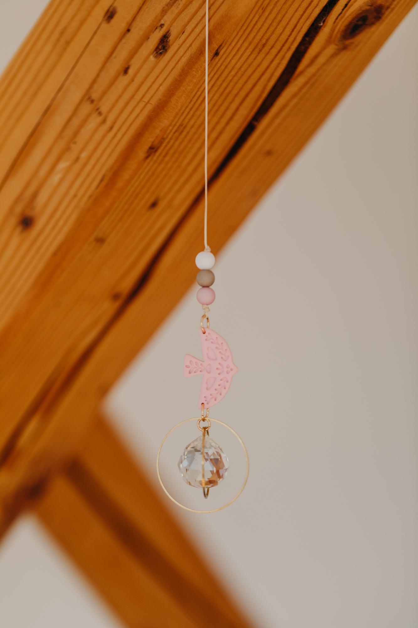 Sonnenfänger mit kleinem Vogel