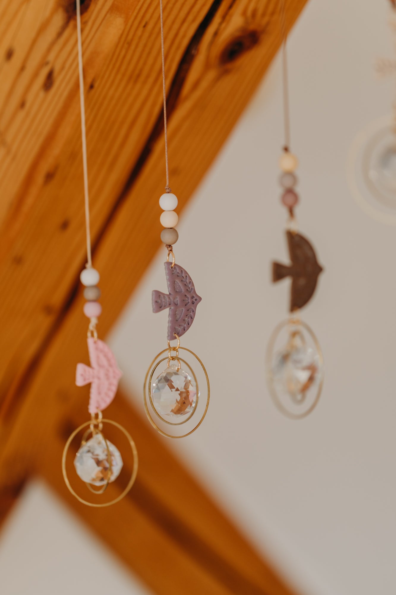 Sonnenfänger mit kleinem Vogel