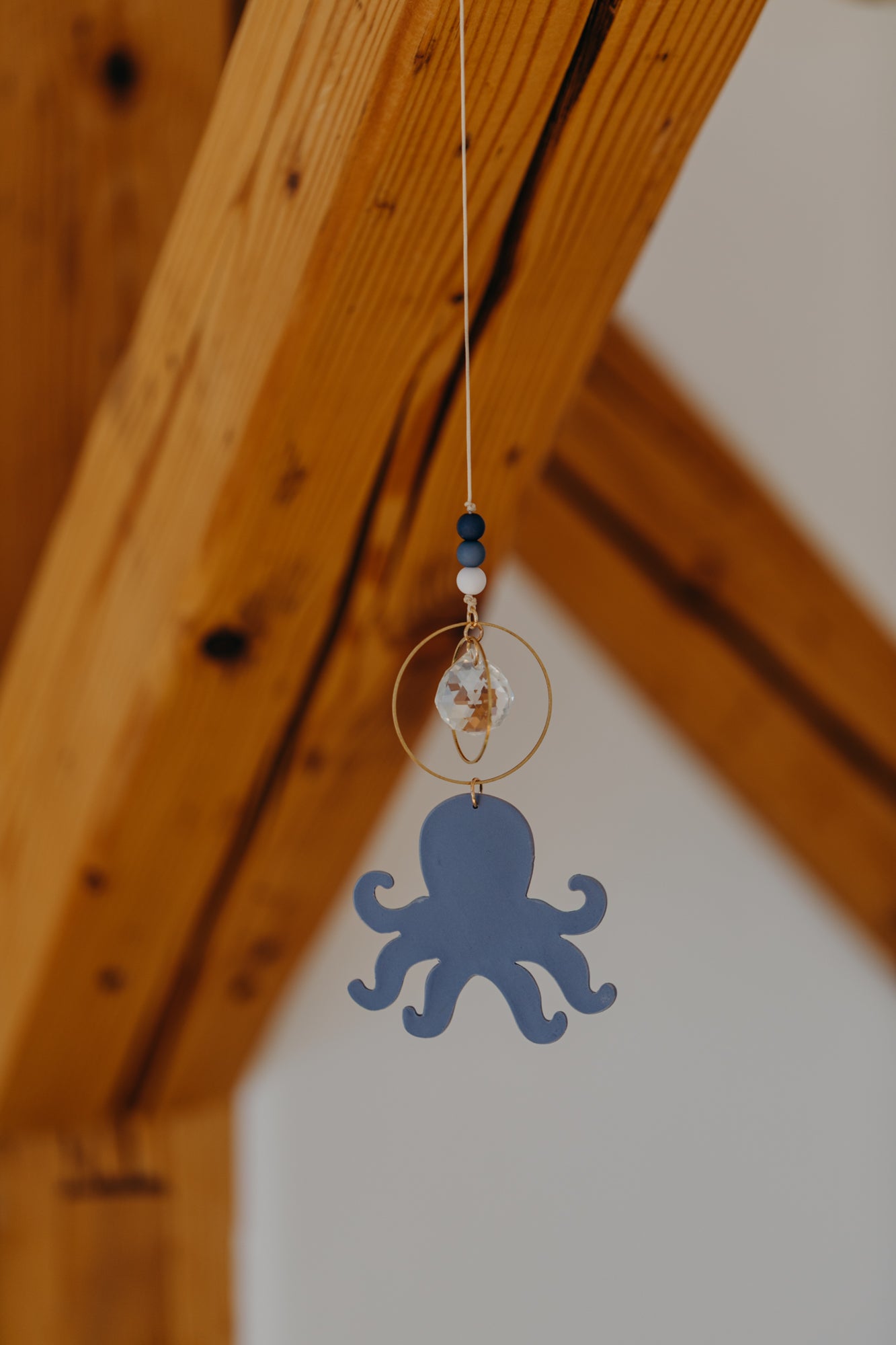Sonnenfänger blauer Oktopus