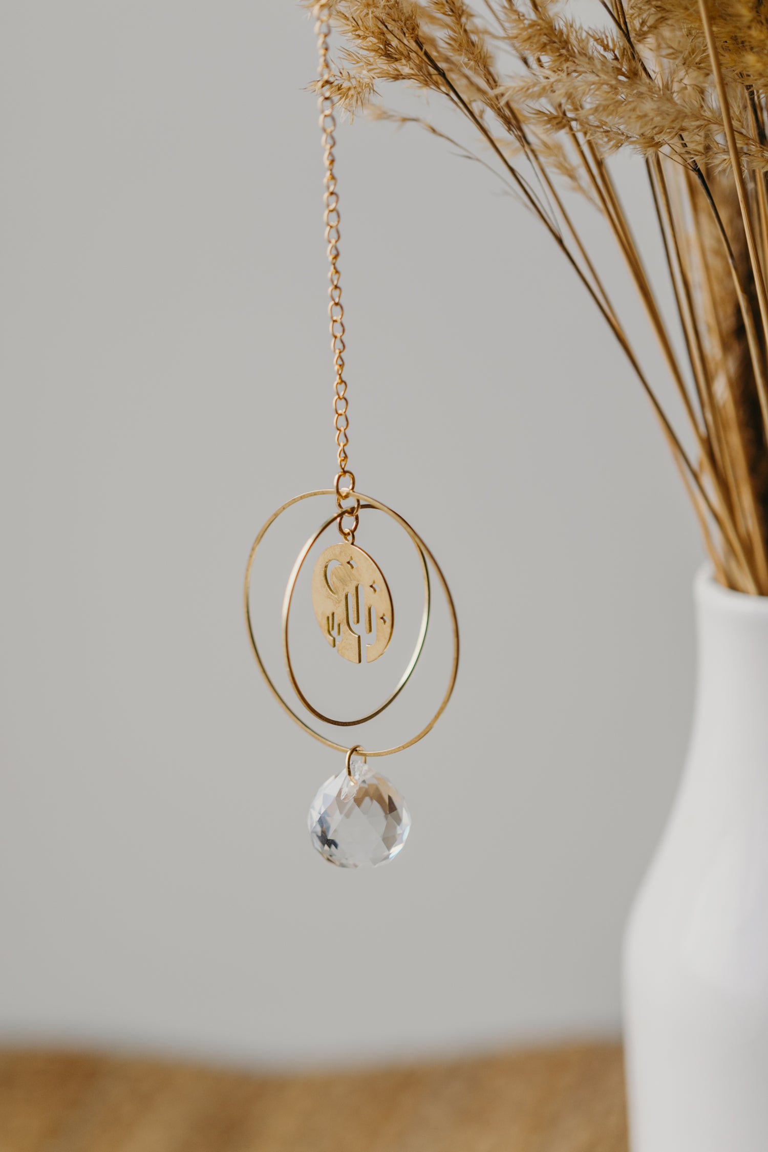 suncatcher cactus