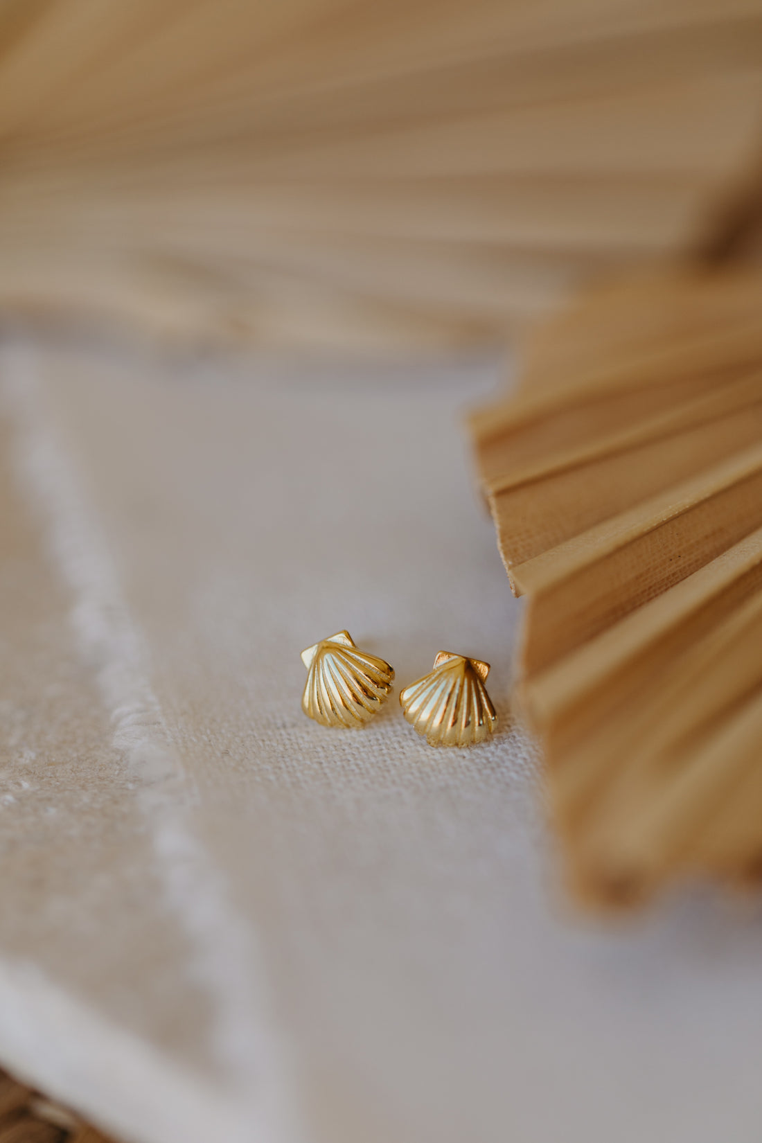 Small shell earrings made of 925 Sterling silver
