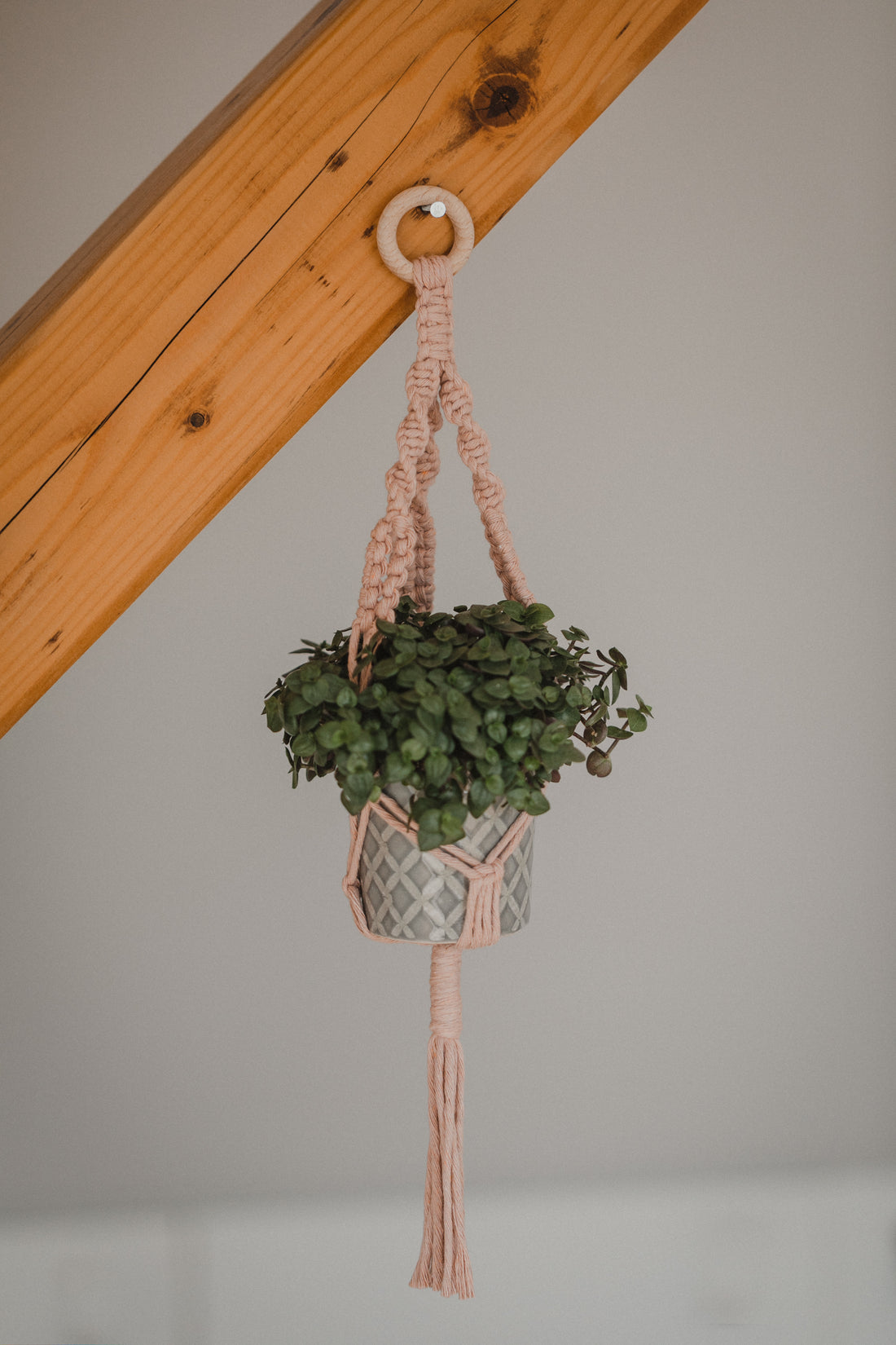 RACHEL - small macrame hanging basket in pink