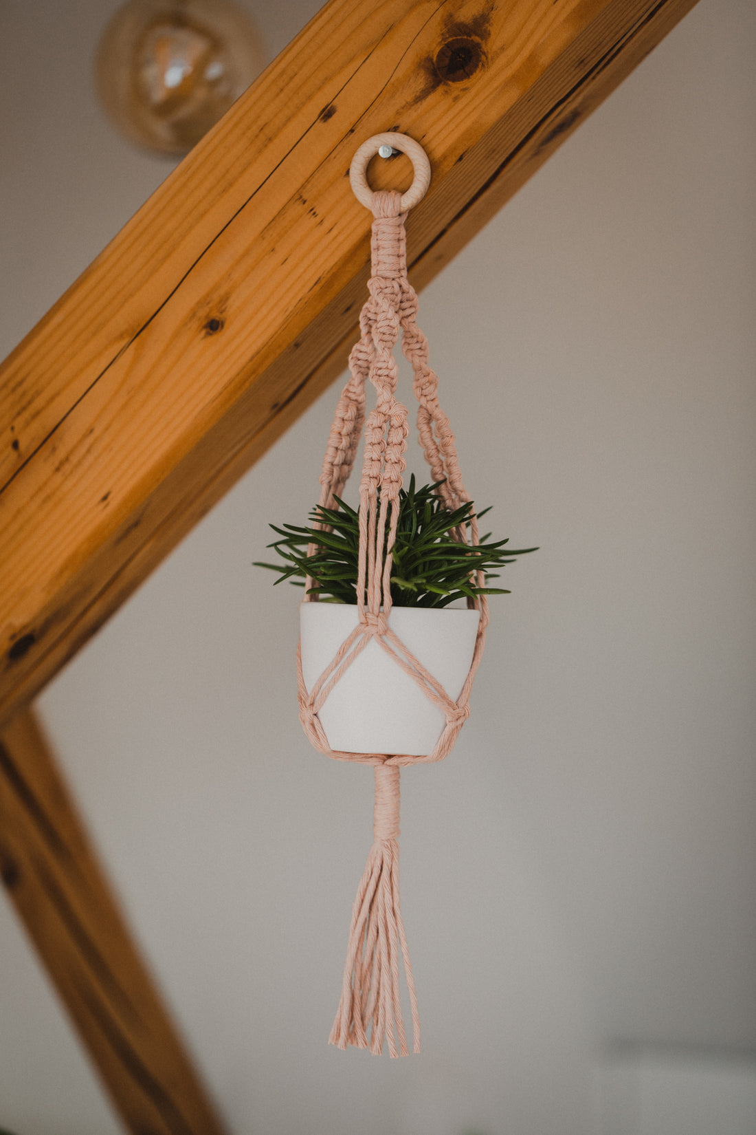RACHEL - small macrame hanging basket in pink