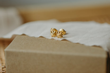 star earrings