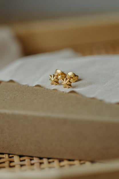 star earrings