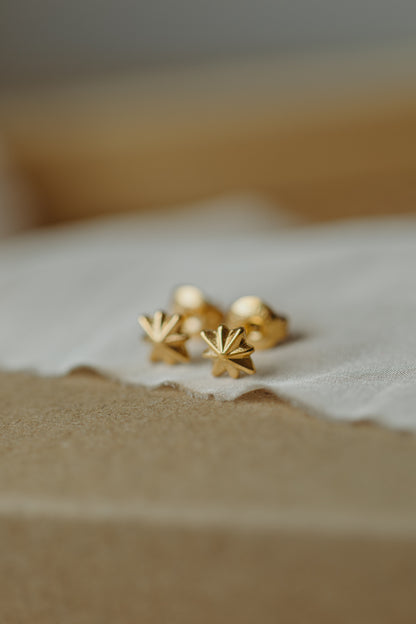 star earrings