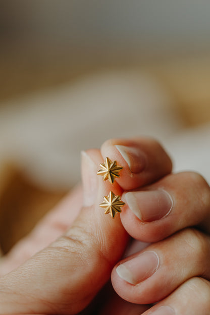star earrings