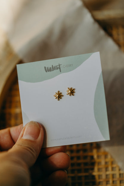 star earrings