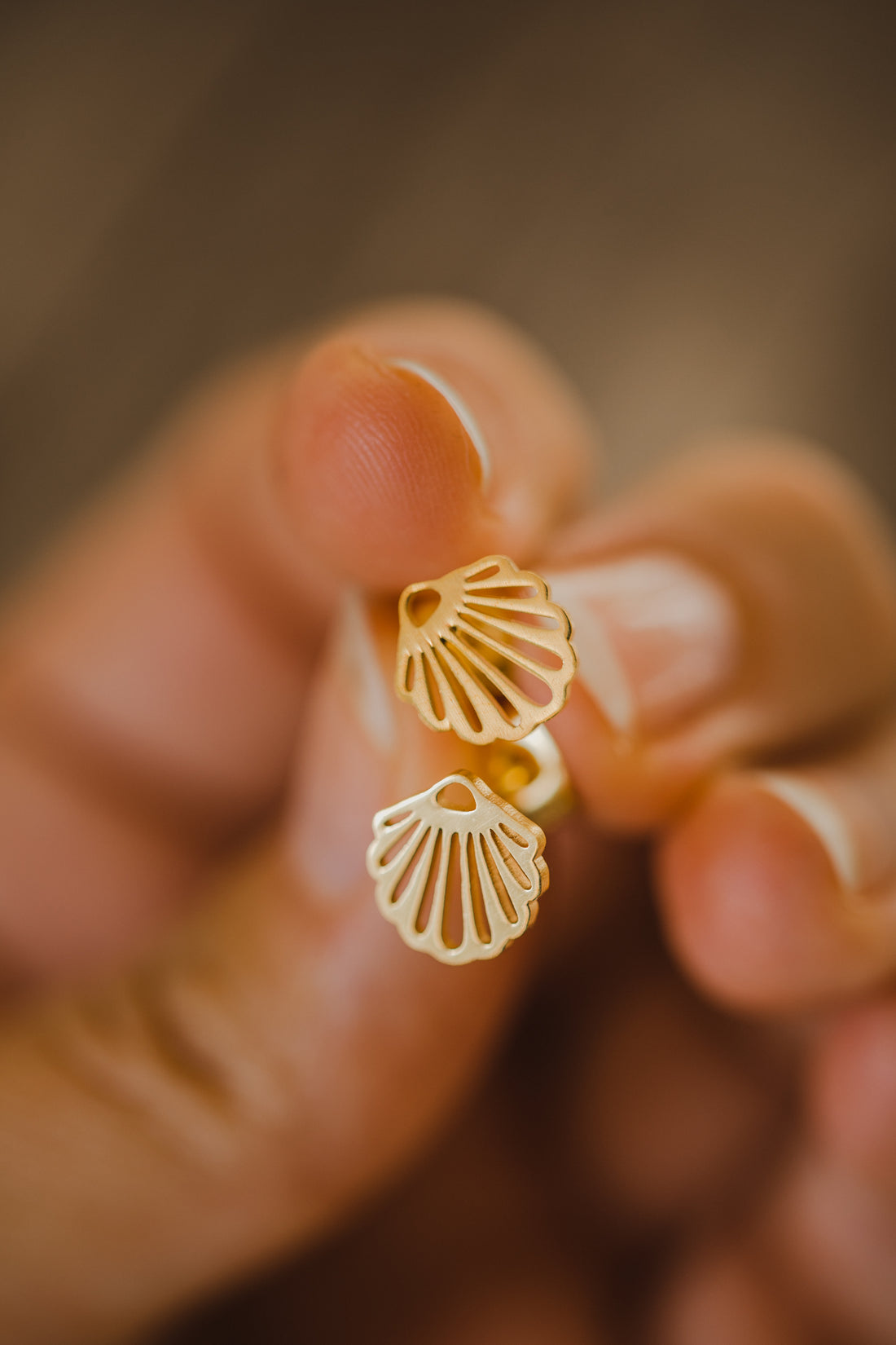 small shell earrings