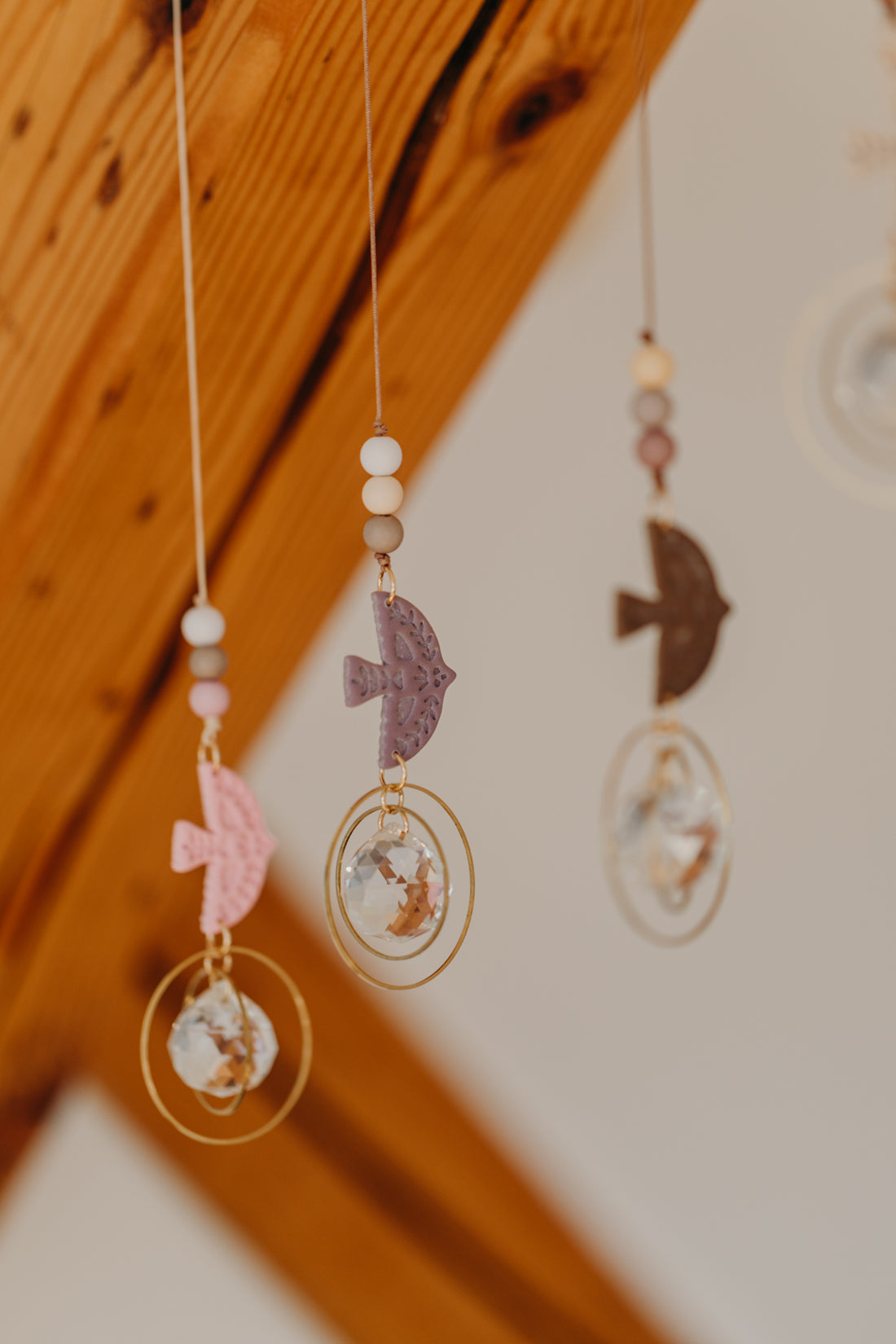 Sonnenfänger mit kleinem Vogel