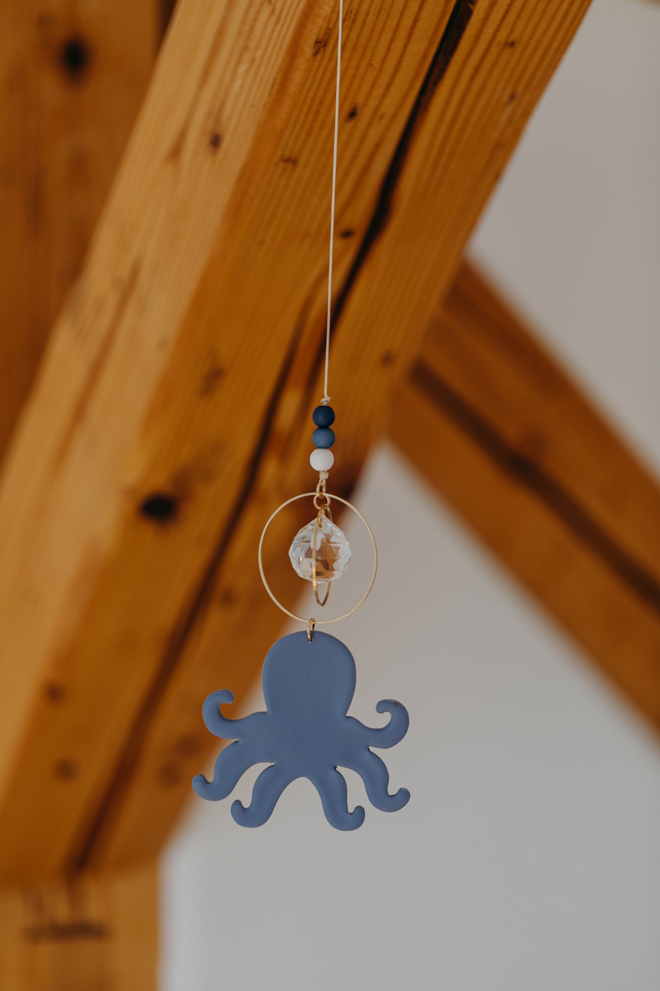 Sonnenfänger blauer Oktopus