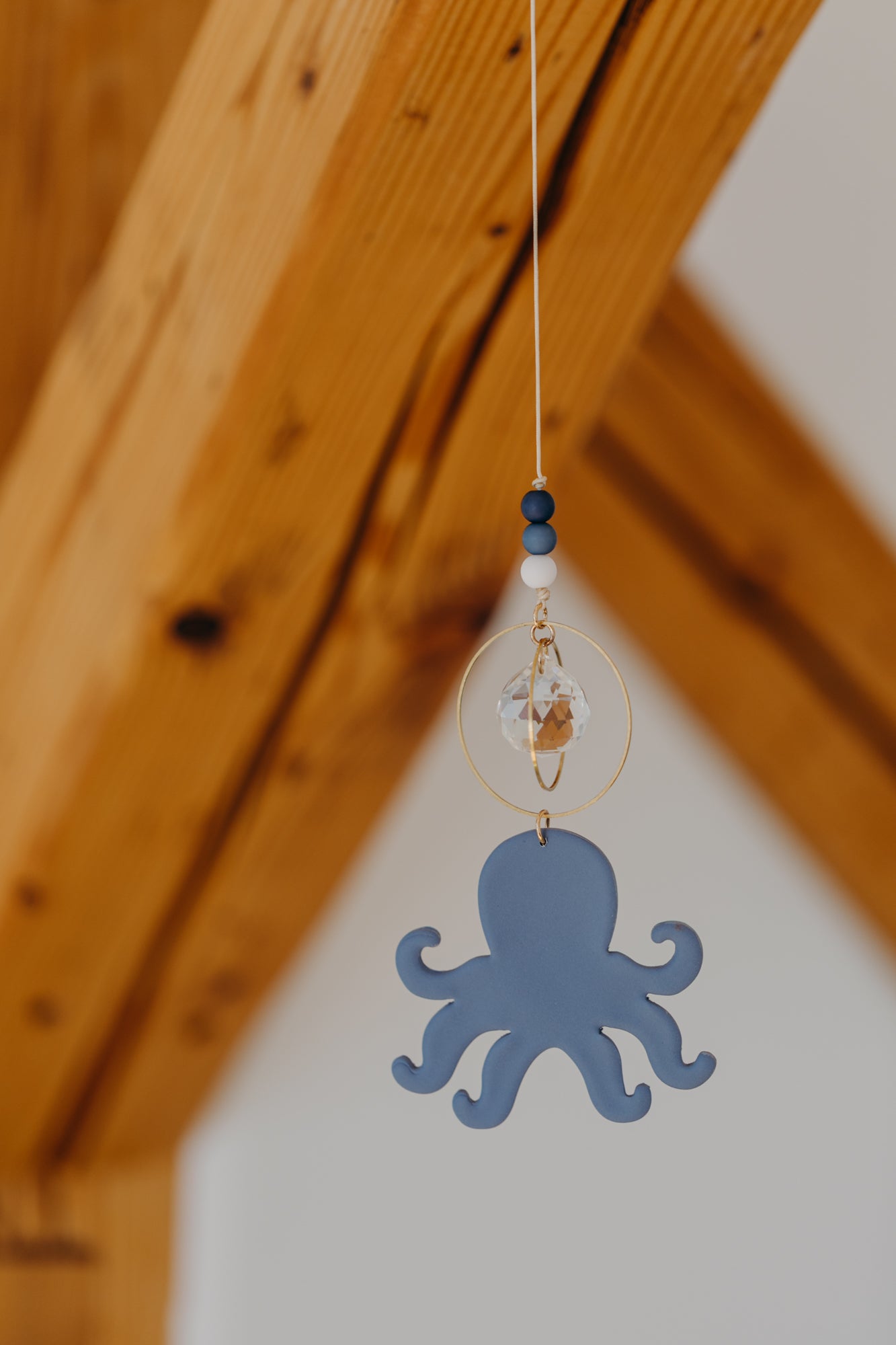 Sonnenfänger blauer Oktopus