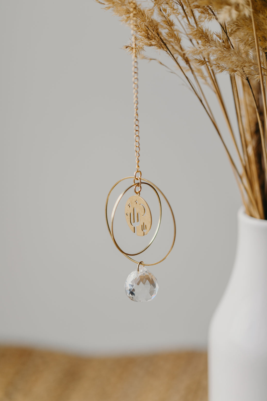 suncatcher cactus