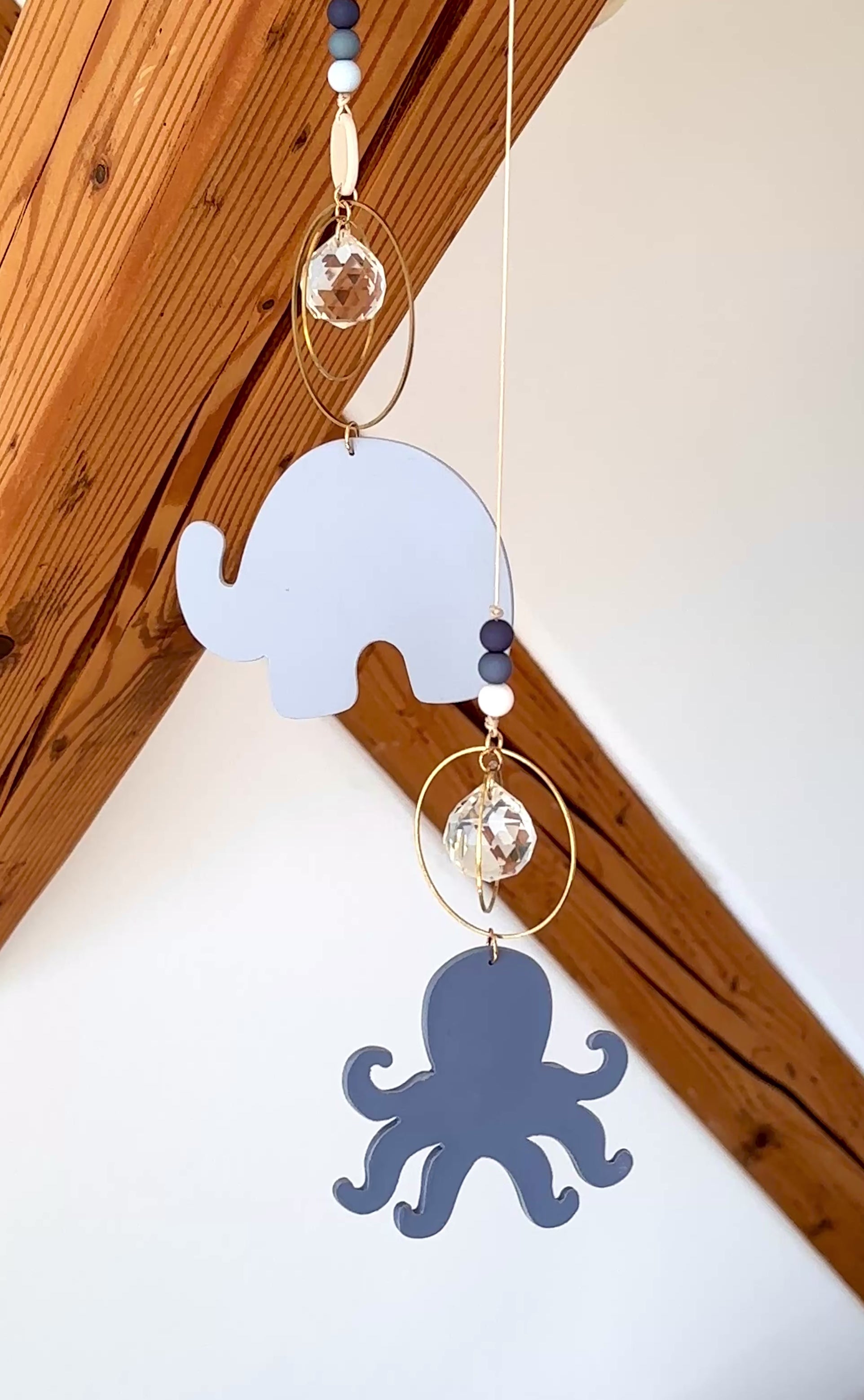 Sonnenfänger blauer Oktopus